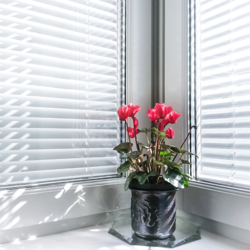 Interiérové horizontální žaluzie všech typů