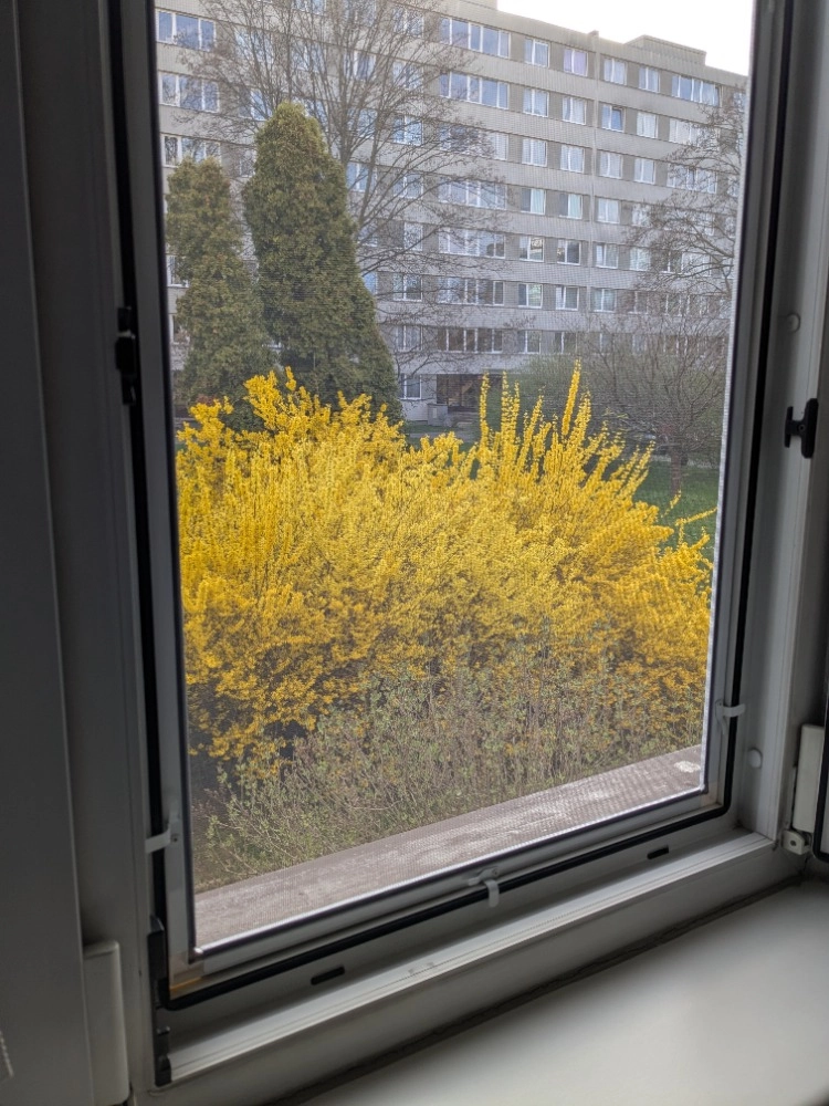 Okenní sítě proti hmyzu na plastová a eurookna